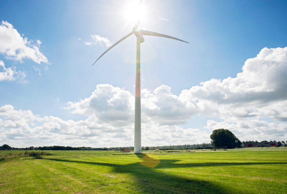 Slagschaduw, je zal het maar hebben